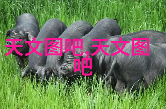 我的无罪声明揭开冤狱的真相