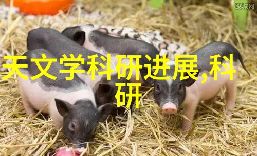 中免股份股价波动背后市场分析师们在寻找什么线索