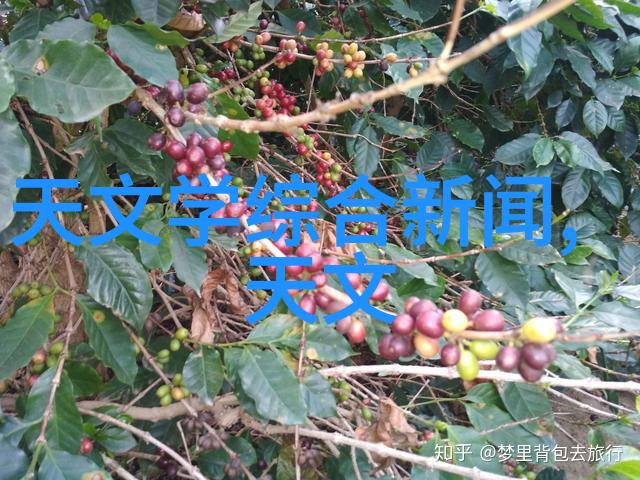 滚筒干燥设备维护技巧与注意事项