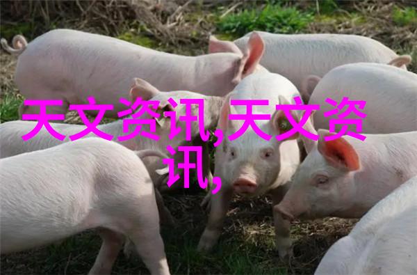 不锈钢丝网填料网在现代化滤波系统中的应用研究与展望