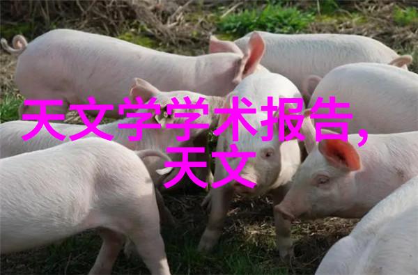 大型微通道反应器我的化学实验室的新宠儿