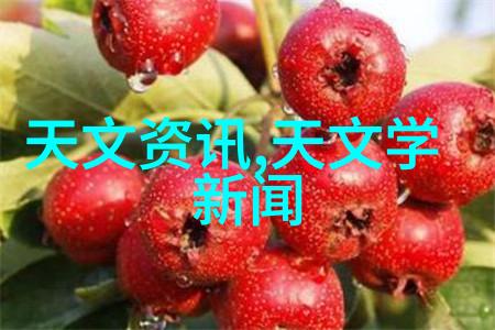 日历女孩韩国未删减观看-璀璨光芒揭秘韩国日历美少女的真实故事