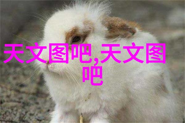 软玉温香-柔情似水的岁月探索软玉与香草在传统文化中的象征意义