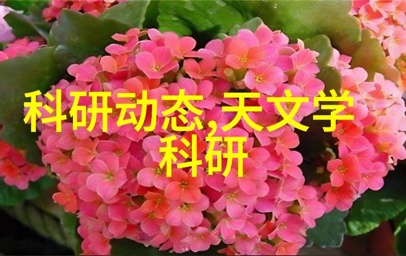 制冷设备配件全解析从压缩机到风扇精选必备配件知识