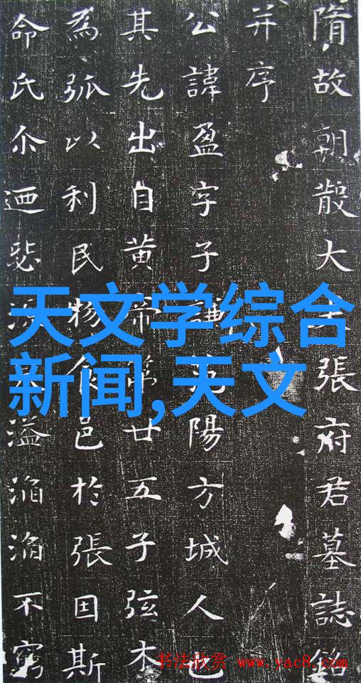 扁环填料材料世界的细腻艺术
