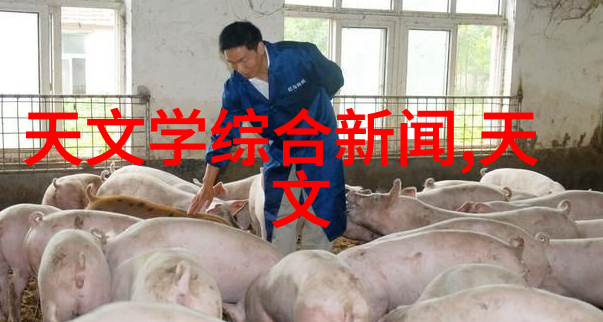 海信冰箱质量怎样2000元价格靓机大搜索时尚个性价高吗