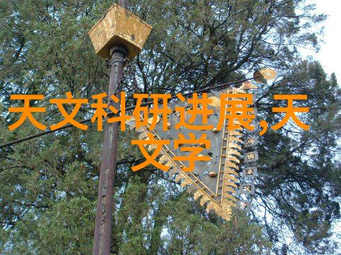 龙物在视频.YW8826神秘生物的网络冒险