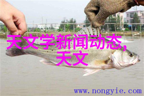 雷蒙机精密制造的高科技机械