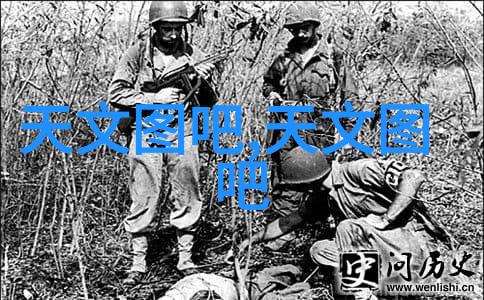流化床之谜揭秘多功能的神秘工作原理