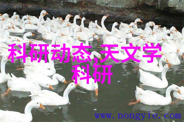 丝网填料和陶瓷填料区别-丝网与陶瓷的选择了解两种填料的应用差异