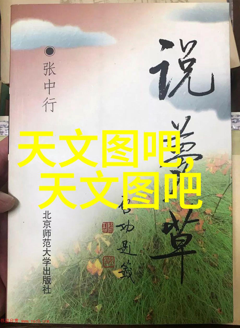创新驱动发展国际上最新的大型污水处理一体化设备研究进展概述