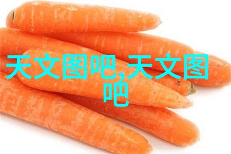 精馏塔操作原理与流程解析从分液到收集的完整指南
