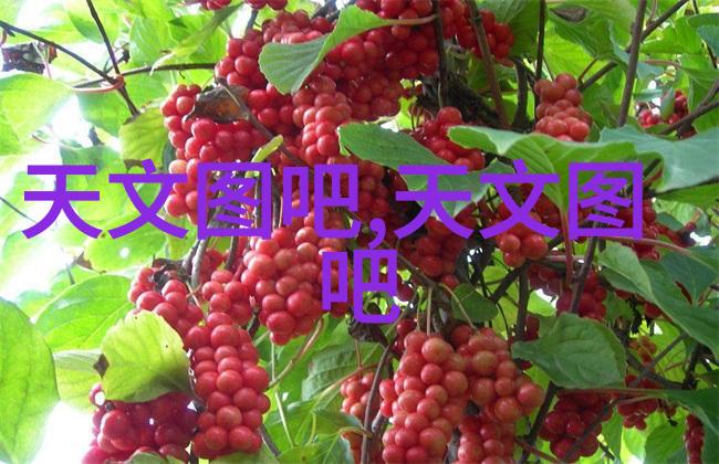 玻璃钢净化塔BJS-10满足喷漆房环保要求标准提升人物工作环境安全健康