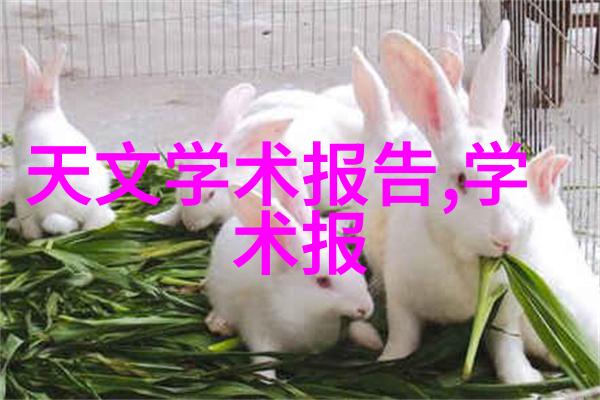 金鼎杀菌釜的秘密之谜它究竟如何打造出不容侵袭的无敌防线