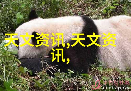常用PE管材供应市场分析