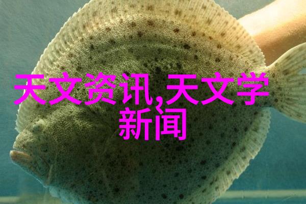 新人心理测验职场适应之谜解析