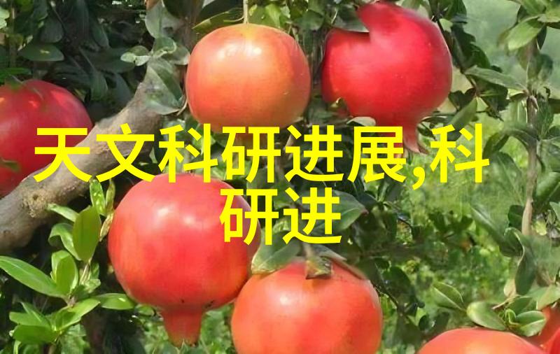 后营露营无增减的3季探索