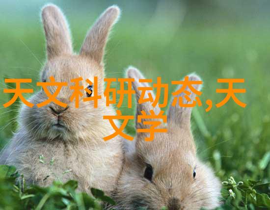 除尘骨架-掀开历史的尘埃揭秘古墓葬的除尘过程