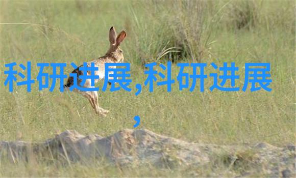 小青梅逆袭从默默无闻到闪耀风采的奇迹之旅