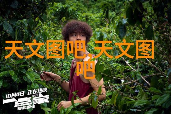 环保材料在家装中占据多大比例为什么重要