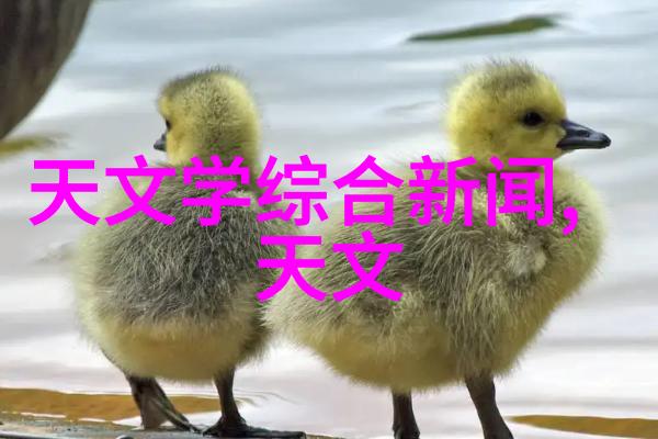 江岸有枝一条河畔的生长与变迁