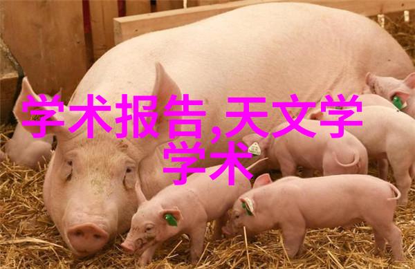 主题我是如何下载官术txt的