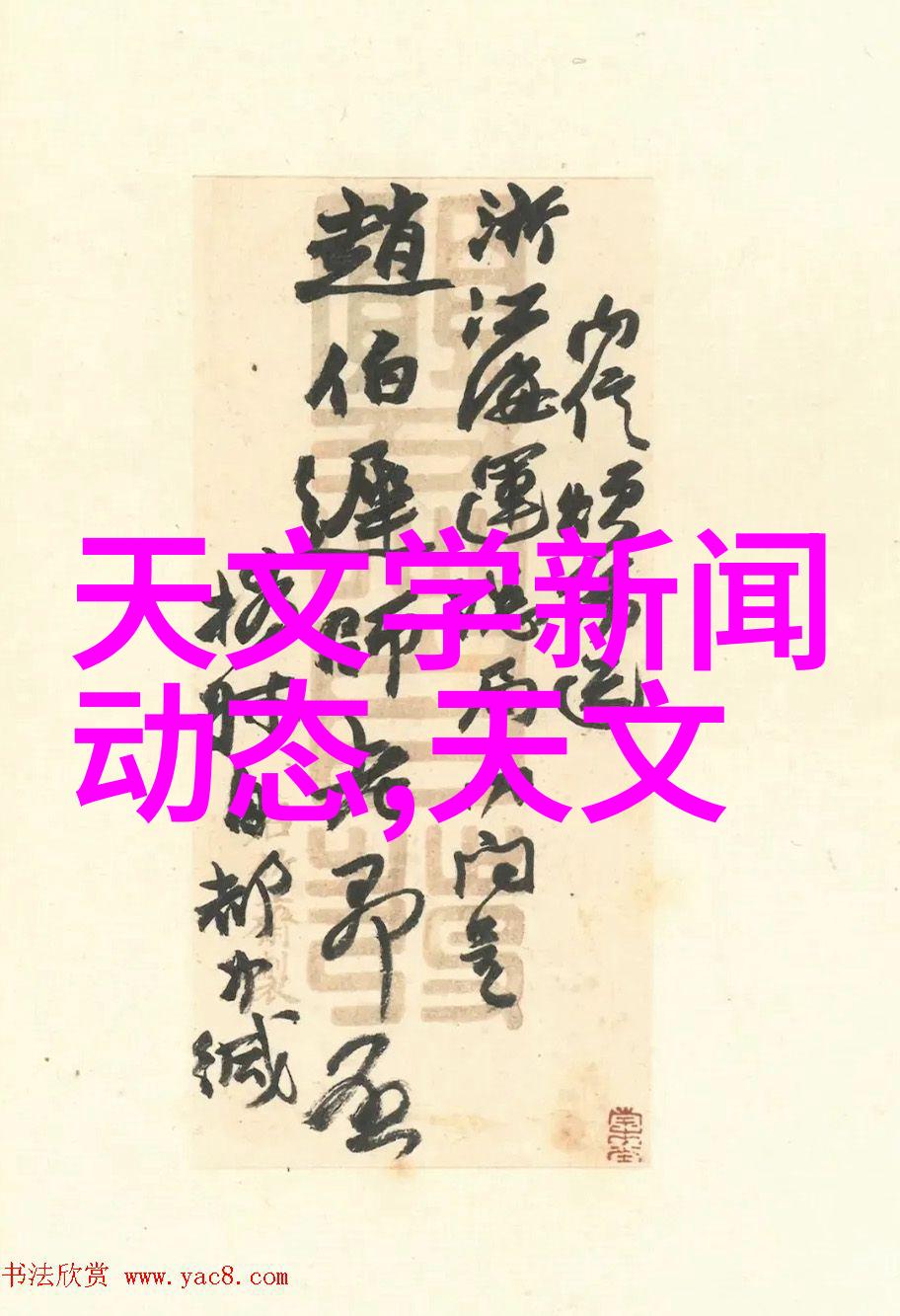 如何打造一个如同蜂鸟网址一般璀璨夺目的高端影楼光芒万丈照亮每一位顾客的美好瞬间