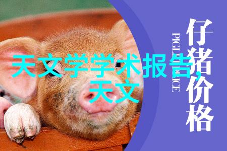 生物实验室设备微型离心机PCR仪显微镜大容量冰箱消毒柜无菌工作台