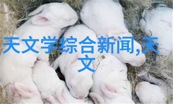 机械心脏轮廓中的秘密