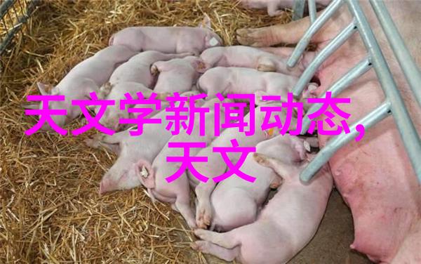 水质探秘清澈河流的守护者