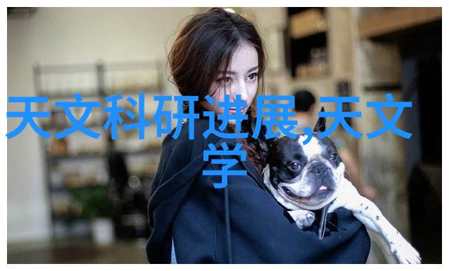 带式干燥设备高效率的工业干燥技术
