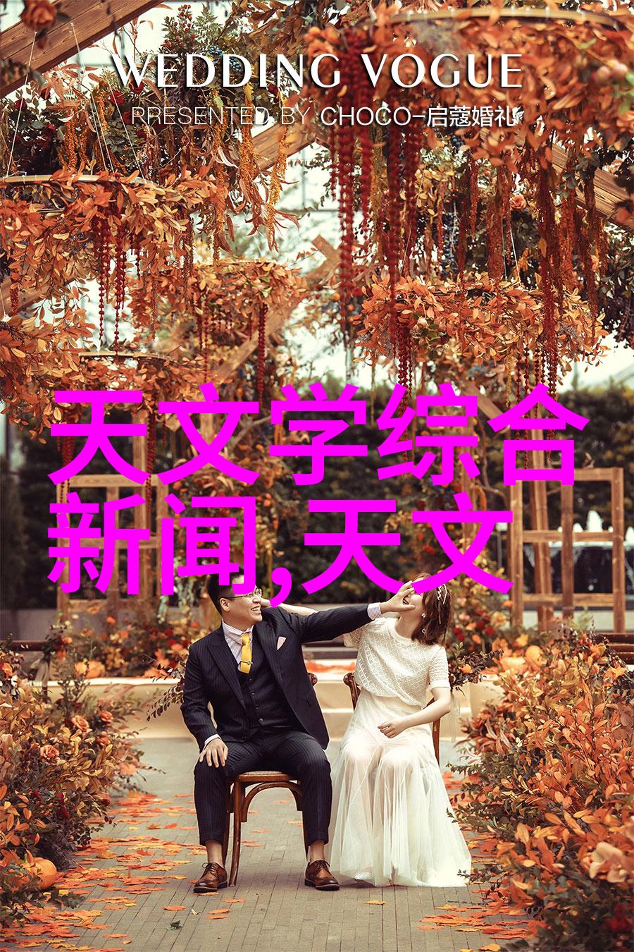 老农夫导航探索乡村智慧的指南系统