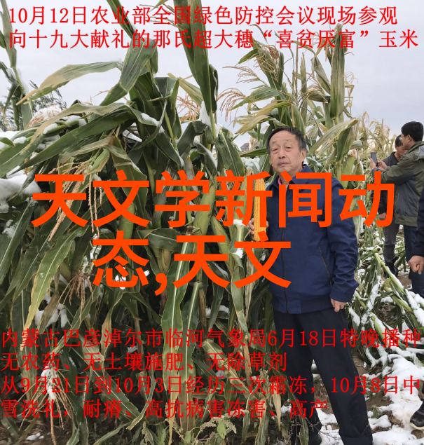 水净化设备-高效除垢系统守护每一滴清澈水源的守望者