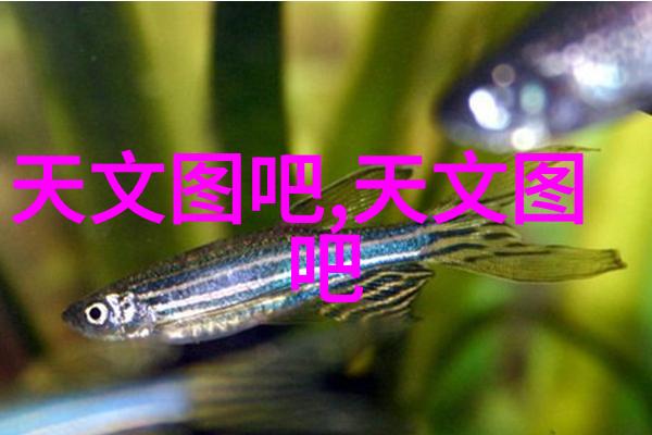 城市脉搏之中油水分离的诗篇
