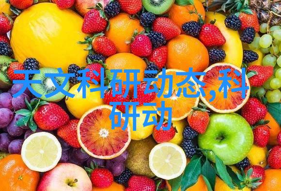填料塔之谜揭秘常用填料的奥秘