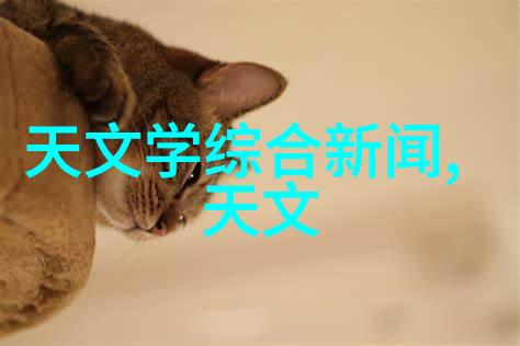 塑料管线的灵魂PE法兰接头与连接之美