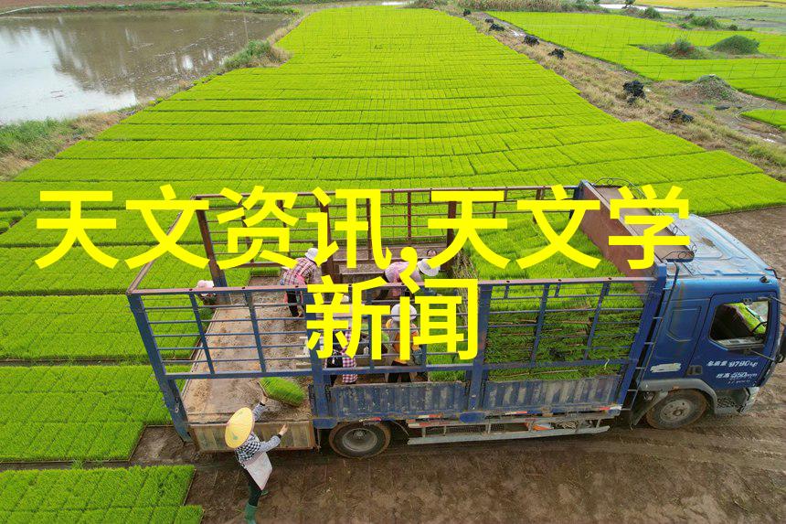 化工多功能机-超效能实验室助手探索化学反应的新伙伴