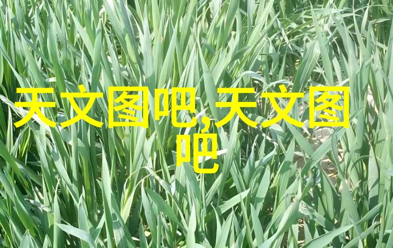 乌龟的海上奇遇扇贝视频主题探索