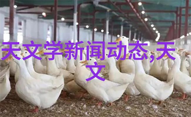 化工卫生泵守护生产安全的不懈卫士