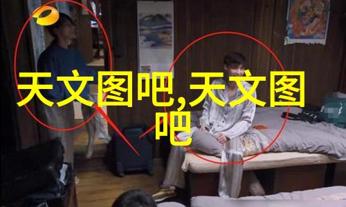 跨越困难实现自给自足中国企业在全球化背景下的芯片生产实践