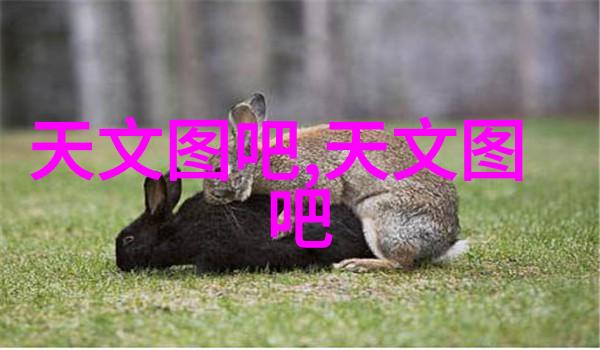 实验室电加热设备温度控制的精髓与安全操作的要素