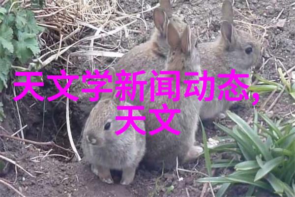 细腻缠绵的丝线之旅探索丝接管件的艺术与工艺