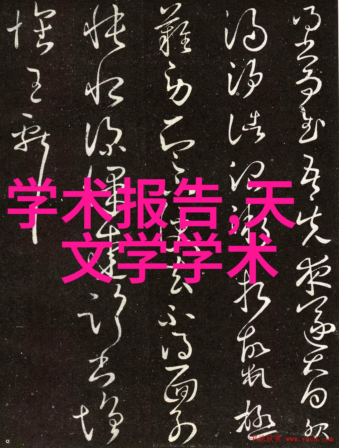倍智人才测评揭秘智慧的深度与潜力
