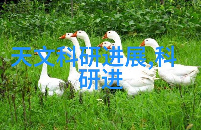 不锈钢化工反应罐-安全耐腐的化学合成伙伴