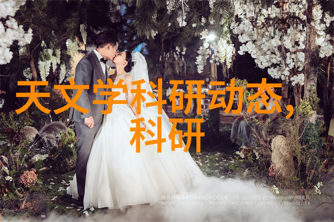 从努力到进步从进步到卓越我的学习历程