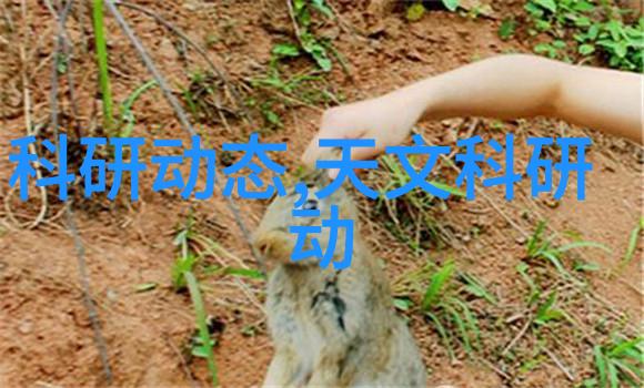 化学工艺设备制造的艺术与科技
