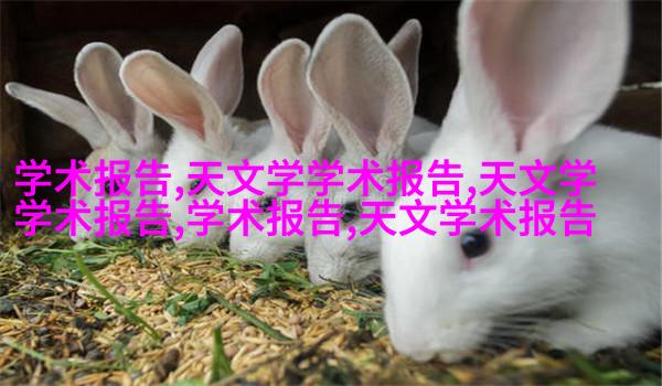 2014维多利亚秘密内衣秀高清写真