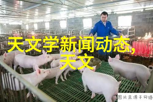 两人的口吻一段秘密的舔唇游戏