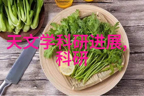如何进行往复泵的维护以提高其使用寿命