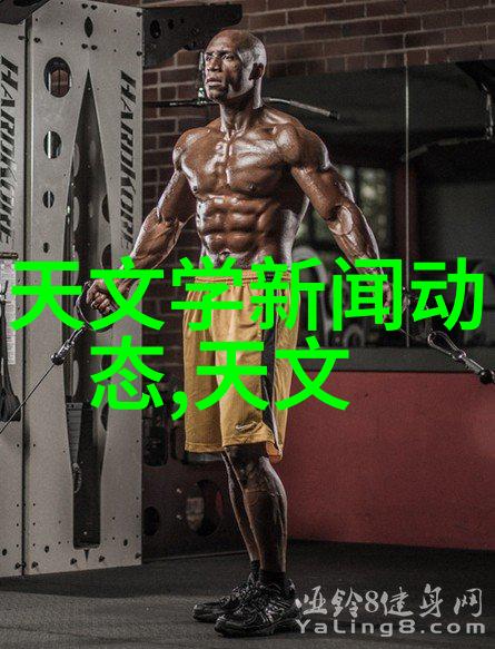 中德合作模式在天津中德应用技术大学中的具体体现是什么